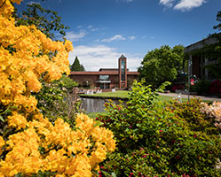 Photo of the campus in the summer. Link to Life Stage Gift Planner Ages 45-65 Situations.
