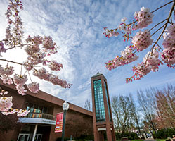 Photo of the campus in spring. Link to Gifts of Cash, Checks, and Credit Cards